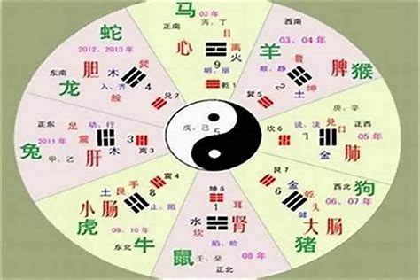 沛的五行|沛字的五行属什么